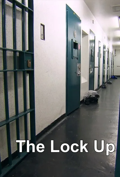 The Lock Up poster