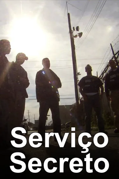 Secret Service Files poster