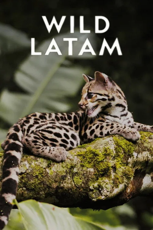 Wild Latam poster