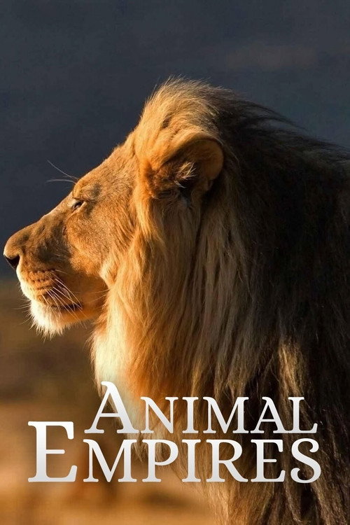 Animal Empire poster