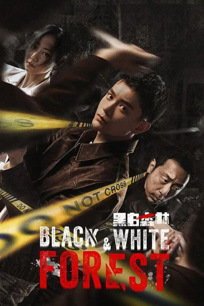 Black & White Forest poster