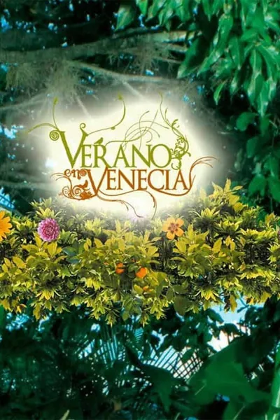 Summer in Venice poster