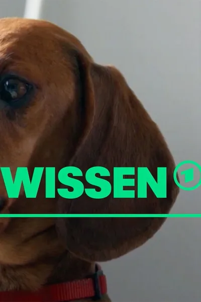 [W] wie Wissen poster