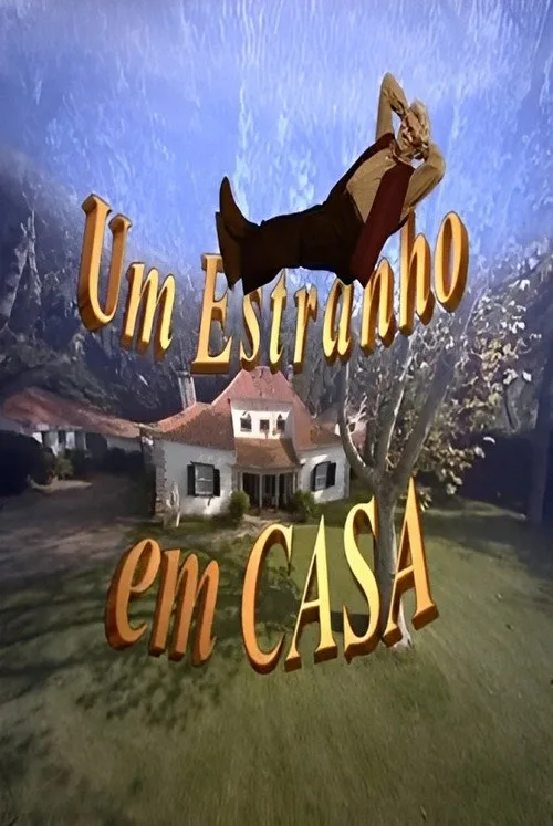 Um Estranho em Casa poster