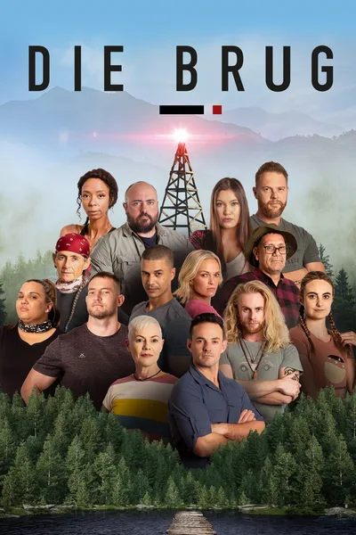 The Bridge poster