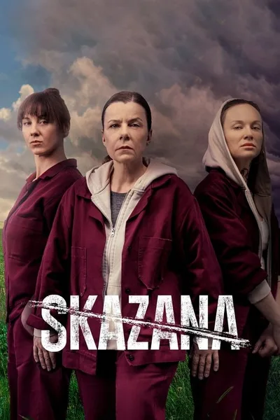 The Convict poster