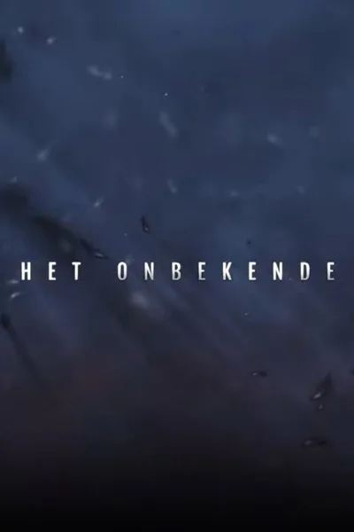 Het onbekende poster