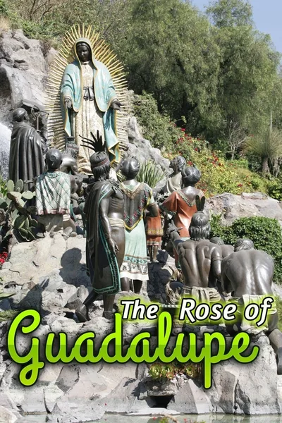 The Rose of Guadalupe poster