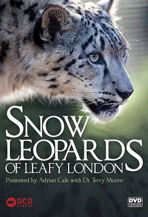 Snow Leopards of Leafy London poster