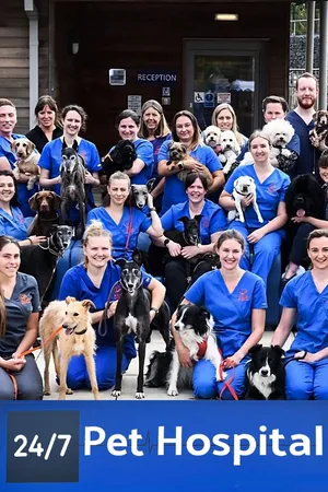 24/7 Pet Hospital poster