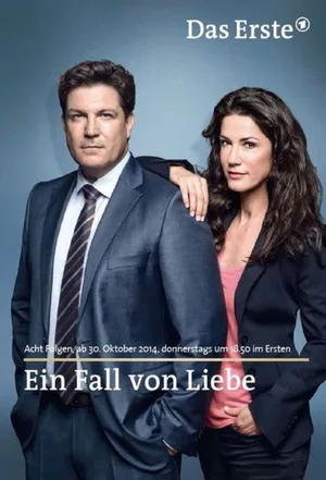 Partners in Justice poster