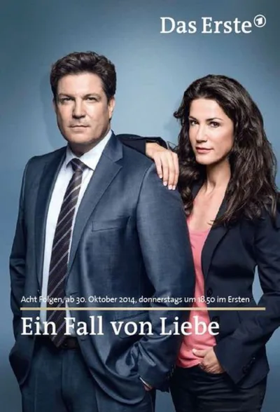Partners in Justice poster