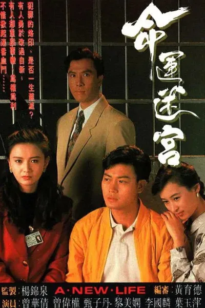 A New Life poster