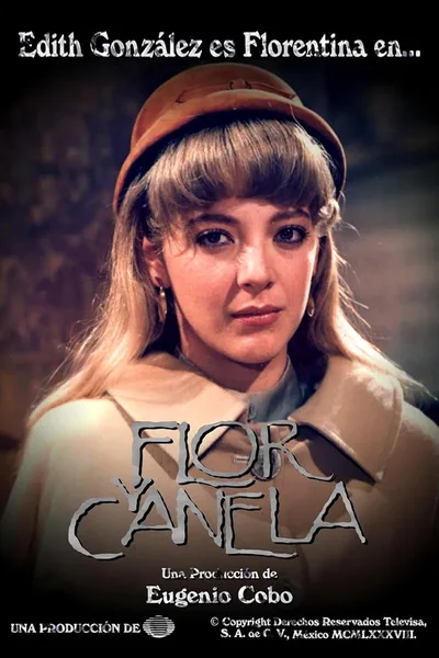 Flor y canela poster