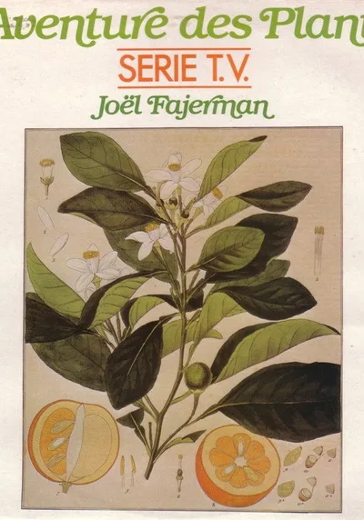 L'Aventure des plantes poster