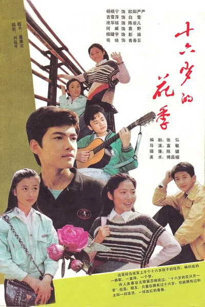 Shi liu sui de hua ji poster