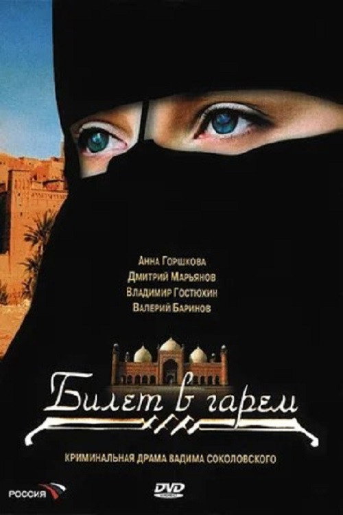 Bilet v garem poster