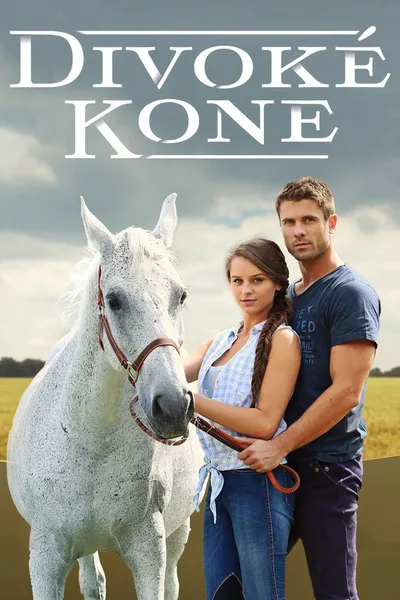 Divoké kone poster