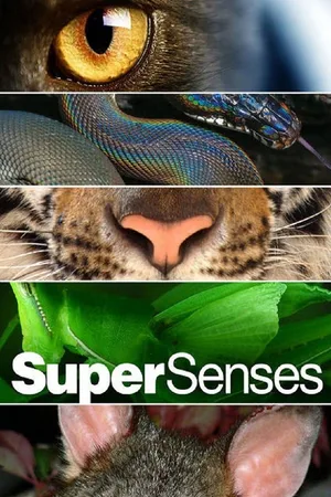 Supersenses poster