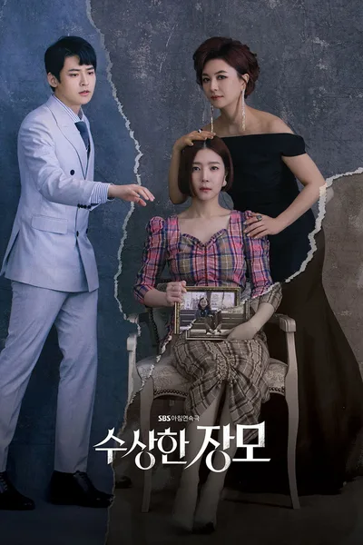 Shady Mom-in-Law poster