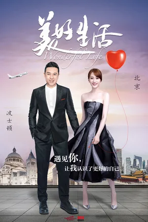 Wonderful Life poster