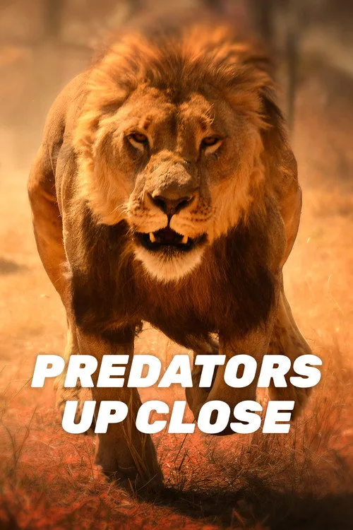 Predators Up Close with Joel Lambert poster