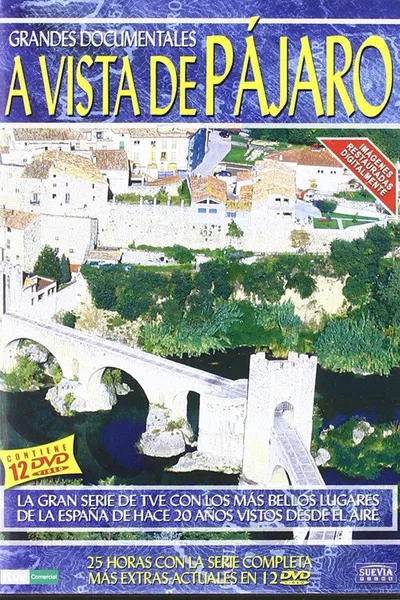 A vista de pájaro poster
