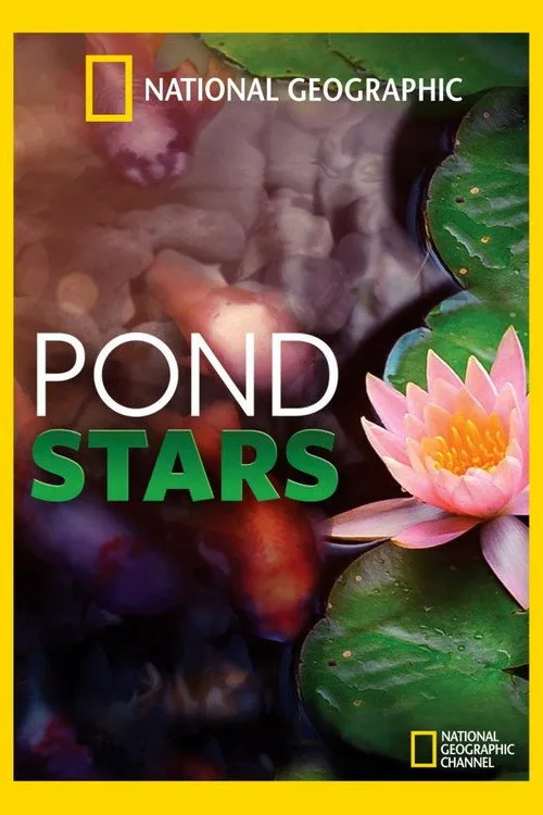 Pond Stars poster