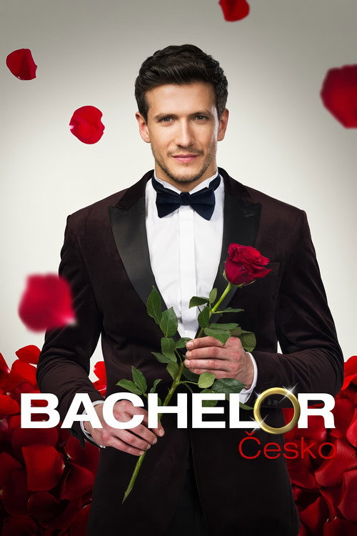 Bachelor Cesko poster