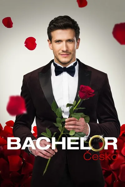 Bachelor Cesko poster