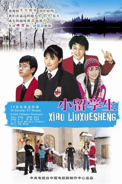 Little Chinese Overseas poster