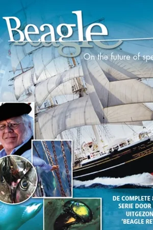Voyage of Darwin's Beagle: On the Future of Species poster