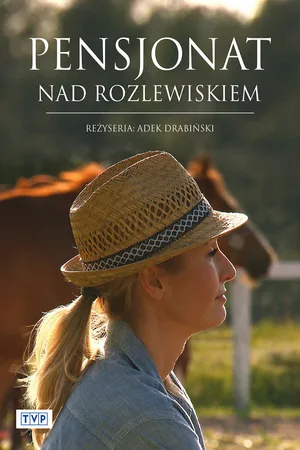 Pensjonat nad rozlewiskiem poster