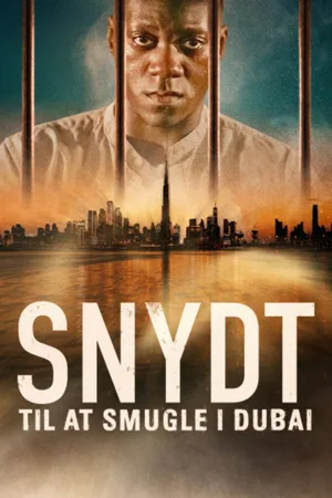 High: Surviving a Dubai Drugs Bust poster