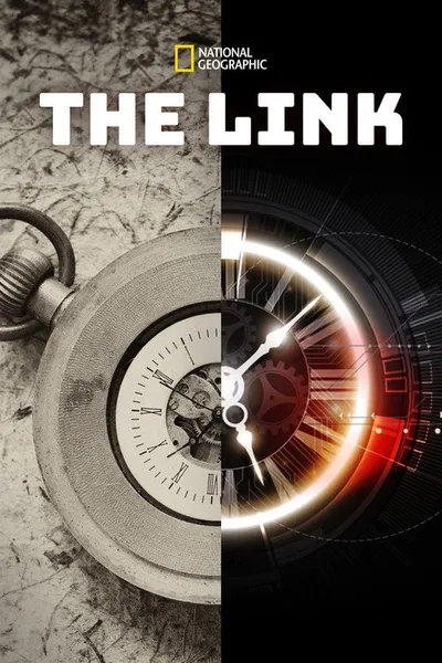 The Link poster