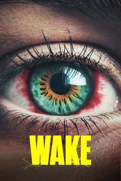Vaka poster
