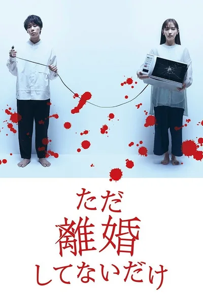 All But Divorced poster